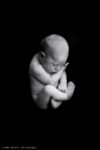 Newborn Photographer Perth Mobile Studio Ellenbrook 018