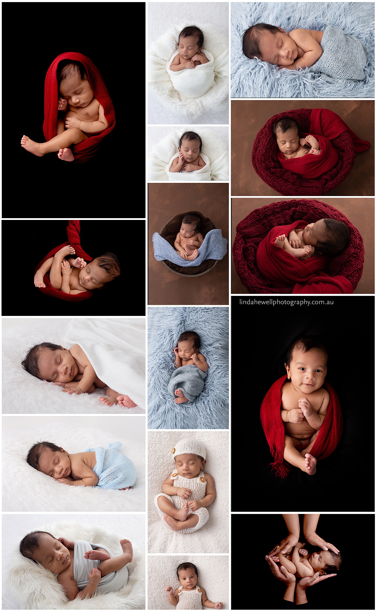 Newborn and Pets Photography Linda Hewell Maternity & Newborn Photography