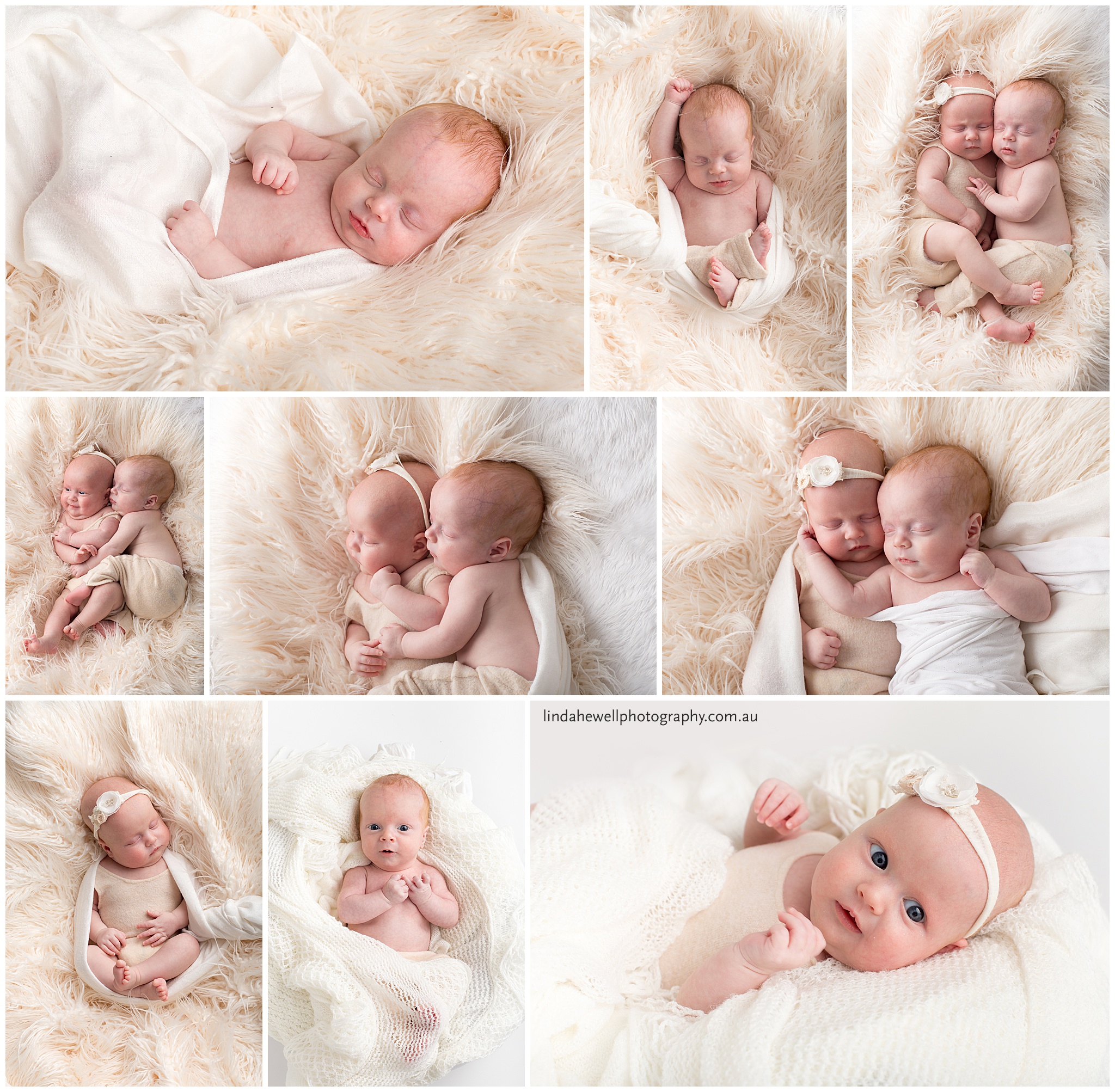 newborn studio twin photography perth